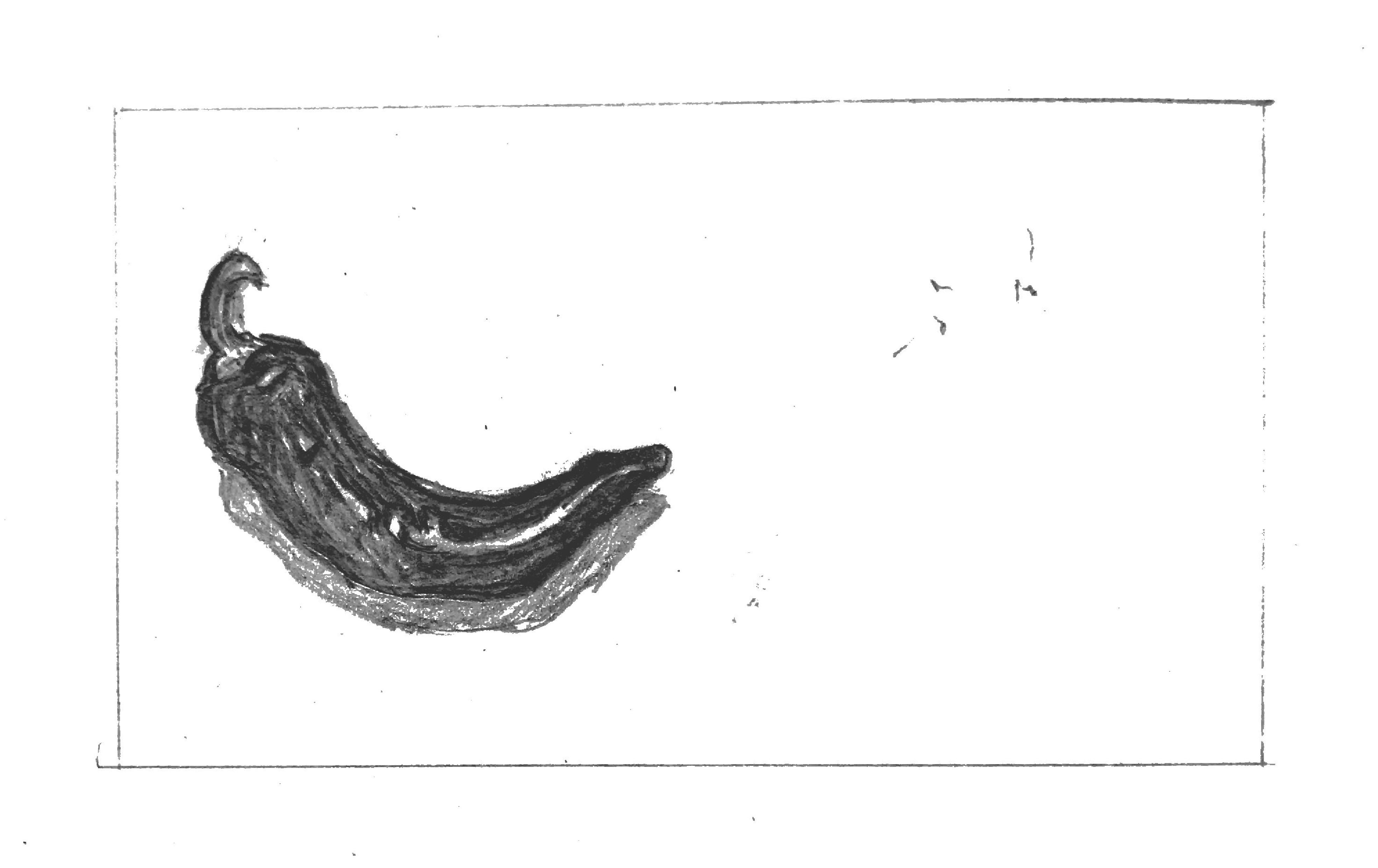 estep-scale-bizcard-8.5x11-page-001